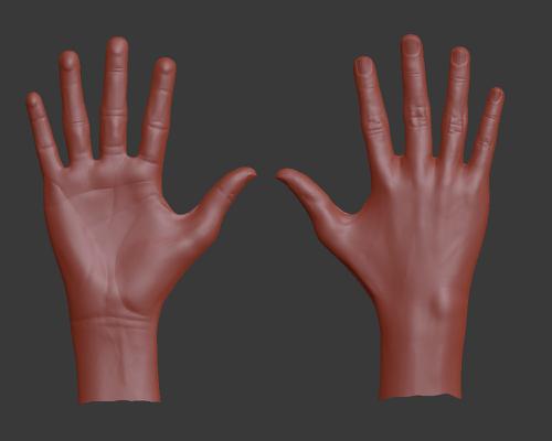 Detailed High-Poly Hand preview image